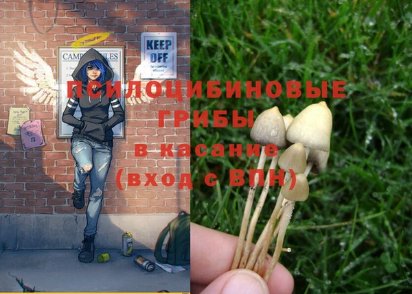 прущие грибы Алексеевка