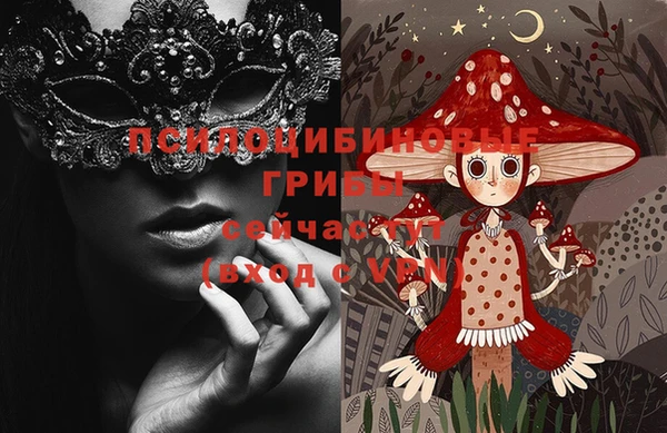 прущие грибы Алексеевка