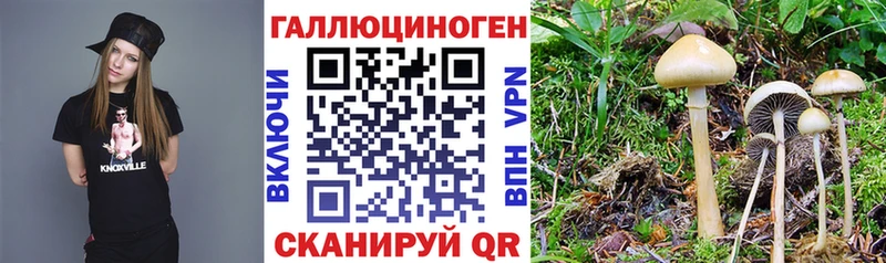 Псилоцибиновые грибы мухоморы Омск